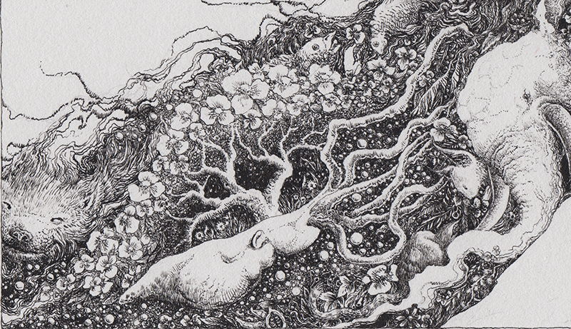 epic_baird_detail2