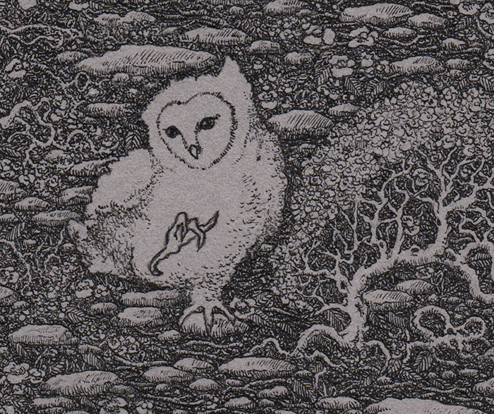 puffy_owls_detail2